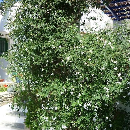 Porto Vlastos Agios Ioannis  Exterior photo